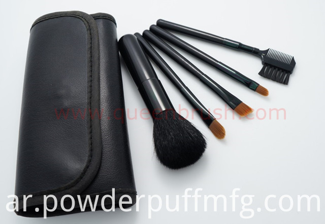 Free Sample 5PCS Black Nylon Cosmetic Brush Set